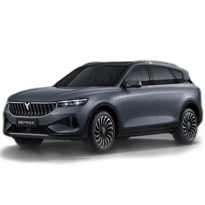 ভালো দাম ২০২৩ এনার্জি ইলেকট্রিক যানবাহন ভায়া ফ্রি ০ কিমি প্রাপ্তবয়স্কদের জন্য ব্যবহৃত ৪WD হাইব্রিড ইভি গাড়ি সর্বোচ্চ গতি ২০০ কিমি/ঘন্টা হুইলবেস ২৯৬০ মিমি অনলাইন