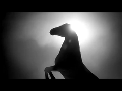 গ্যাসোলিন যানবাহন