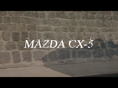 গ্যাসোলিন যানবাহন