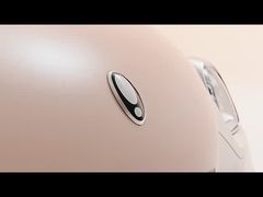 ইভি মিনি